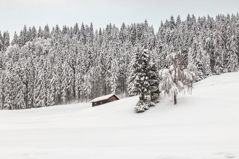 Season Hunt Challenge - Winter Hunt - SNOWY BUILDINGS