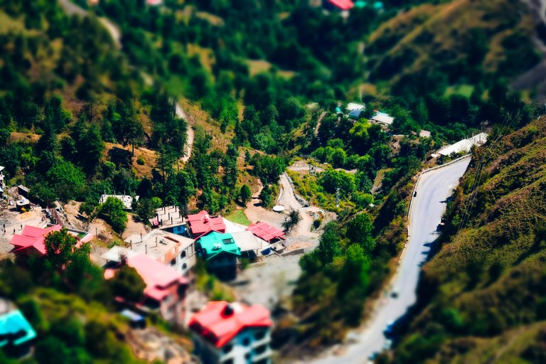 shimla_22.jpg