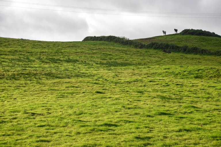 2012_09_01_0688_doolin_chiarezza_rd.jpg