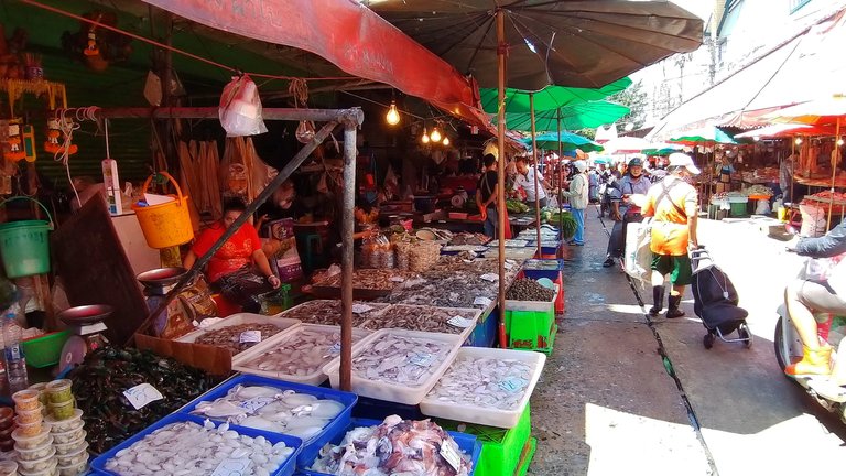 khlong_toey_slum_khlong_toey_markets_august_2020_samsung_a_261.jpg