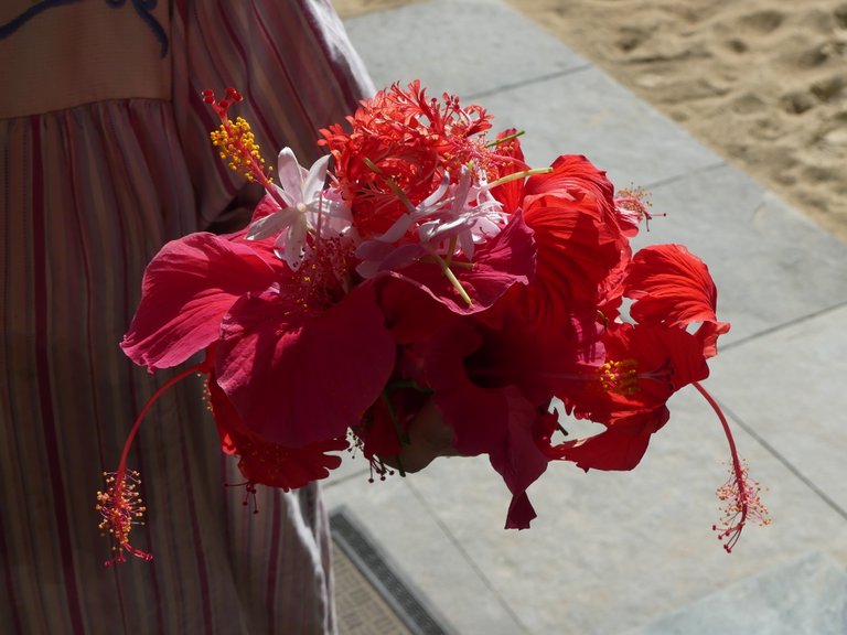 p1000847.jpg
