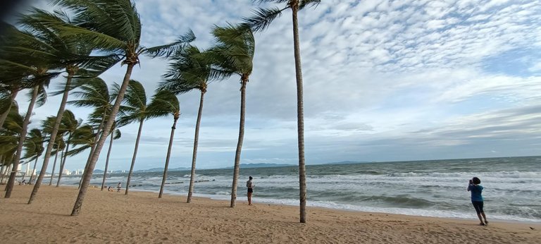 windy_beach.jpg