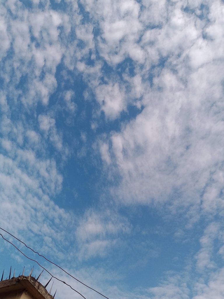 1000013609.jpg