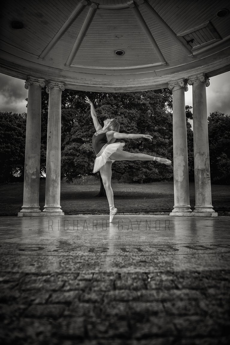 ariel_taylor_clifton_4.jpg