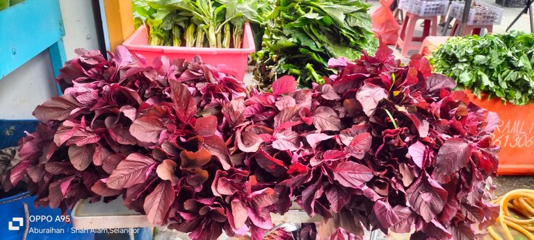 Red leafy vegetables are full of nutrients in color