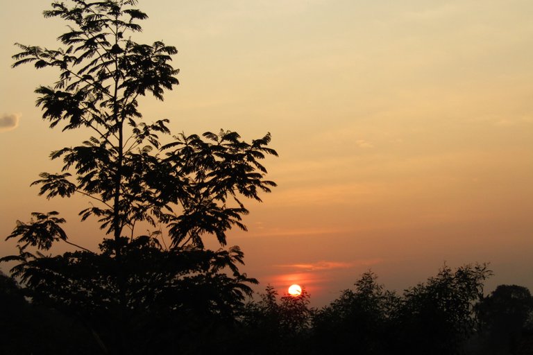 sunset2.jpg