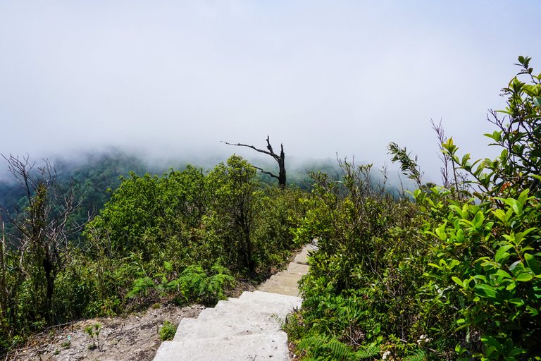 dsc09357_hys_min.jpg