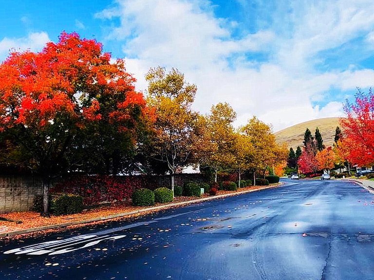 fall_7.jpg