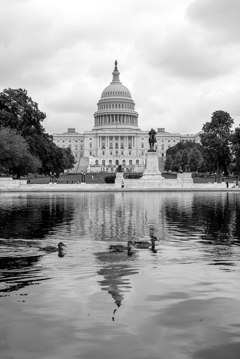 capitol_reflections_with_ducks.jpg