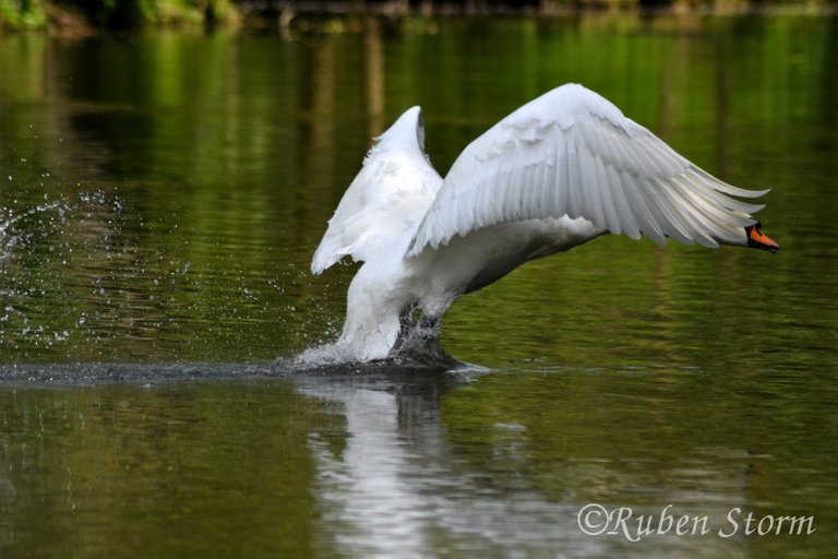 Landing