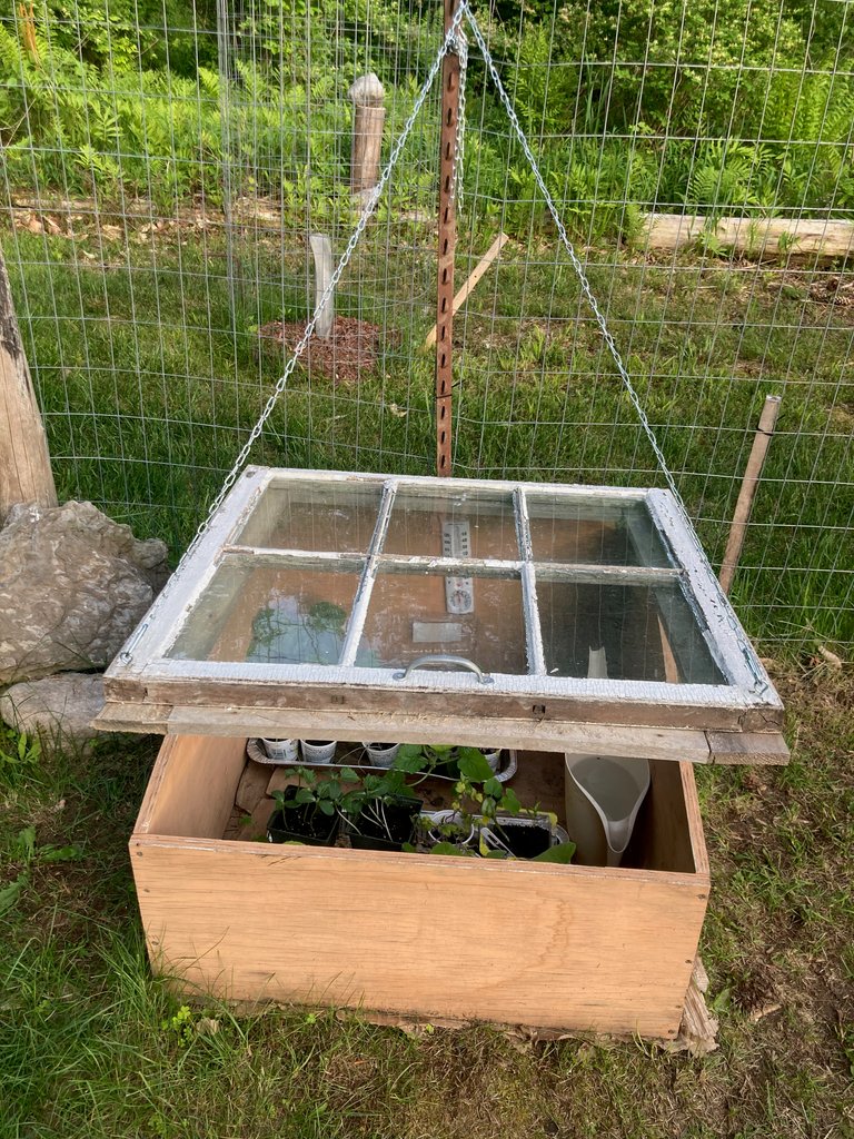 New Cold Frame
