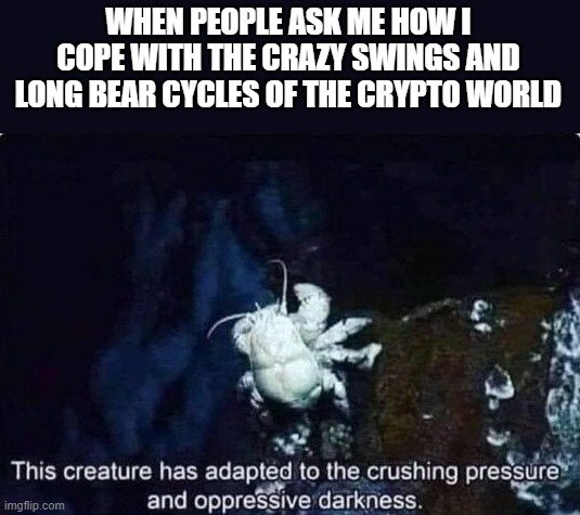 crypto_adaptations.jpg