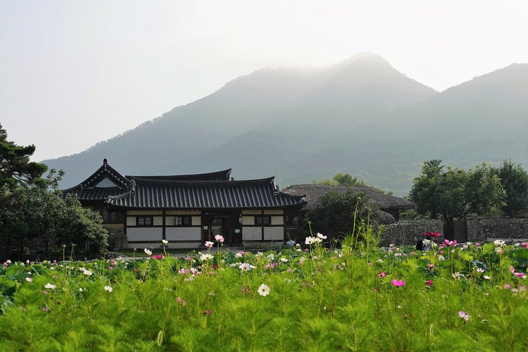 My experience with Korean culture