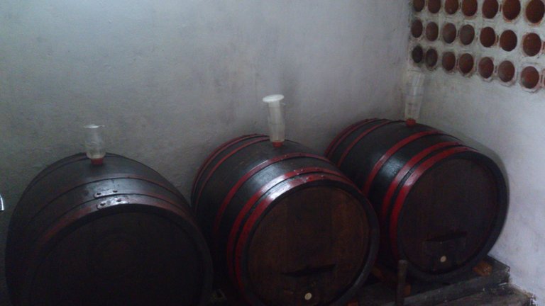 wine_barrels.jpg