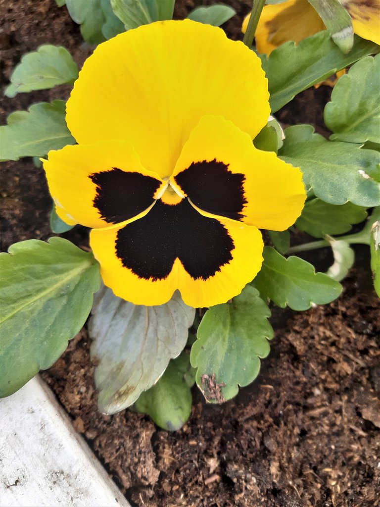 20220426_150320.jpg