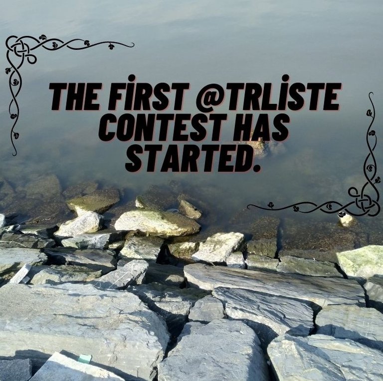 the_first_trliste_contest_has_started.