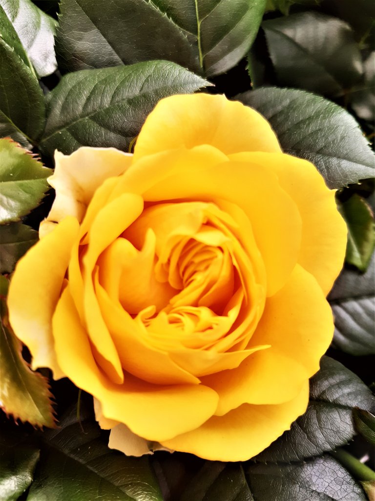 20220426_151154.jpg