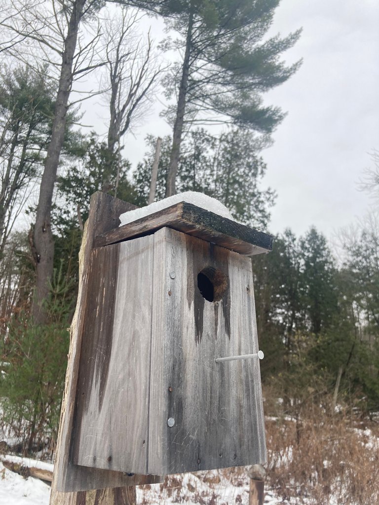 Birdhouse