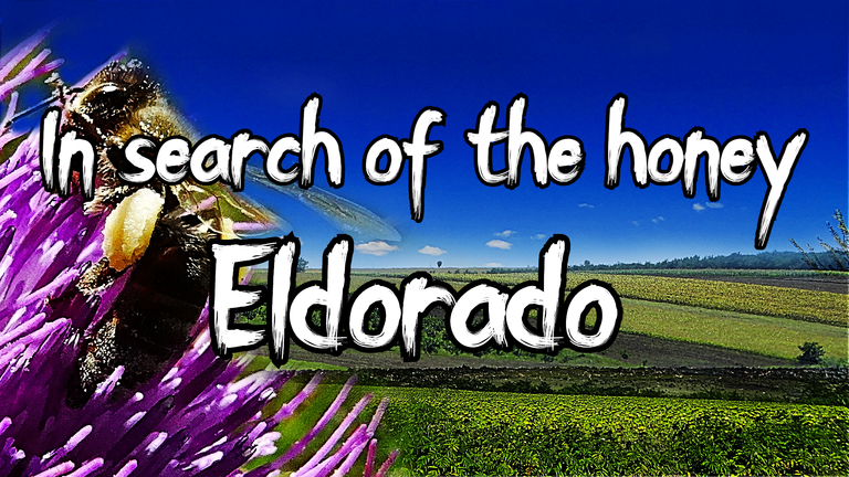 In search of the honey Eldorado.