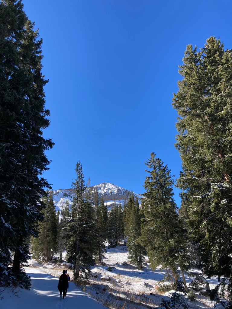 Blue skies