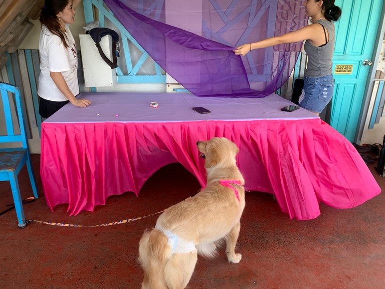 My Niece's Birthday Party At The Beach