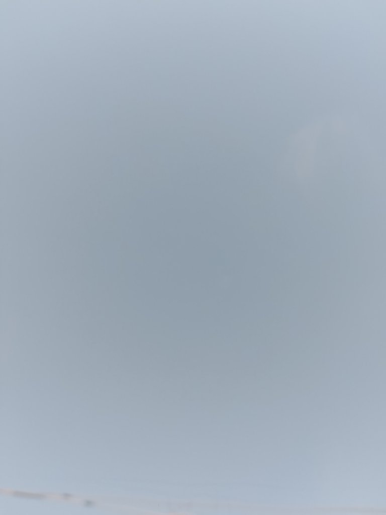 1000014098.jpg