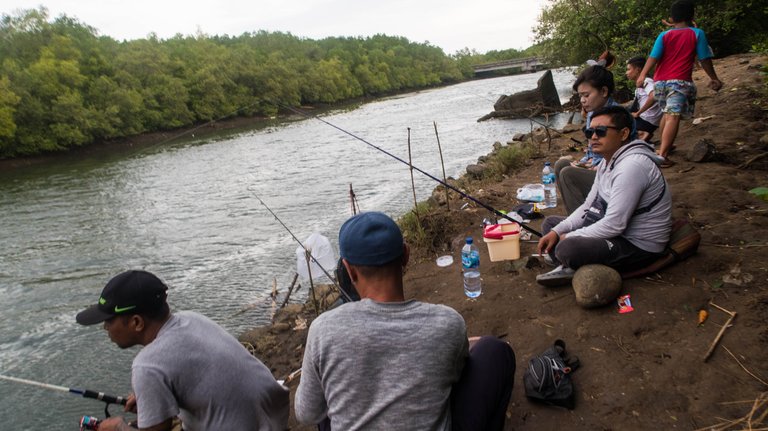 mangrove_walk_15