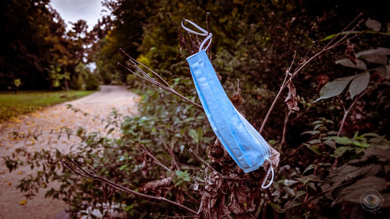 Blue FFP2 Mask