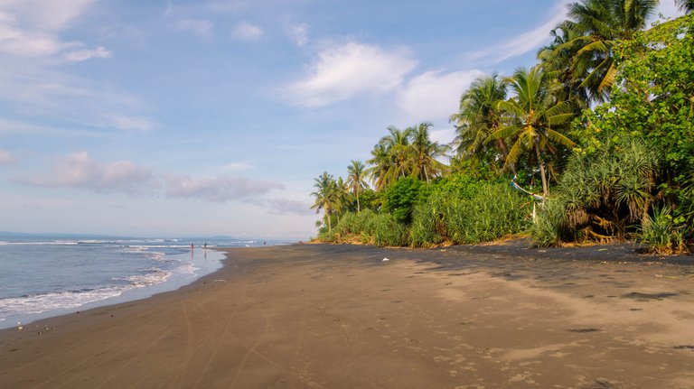 sublime_beach_walk_19.jpg