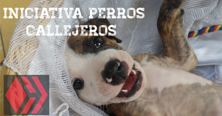Imagen del post