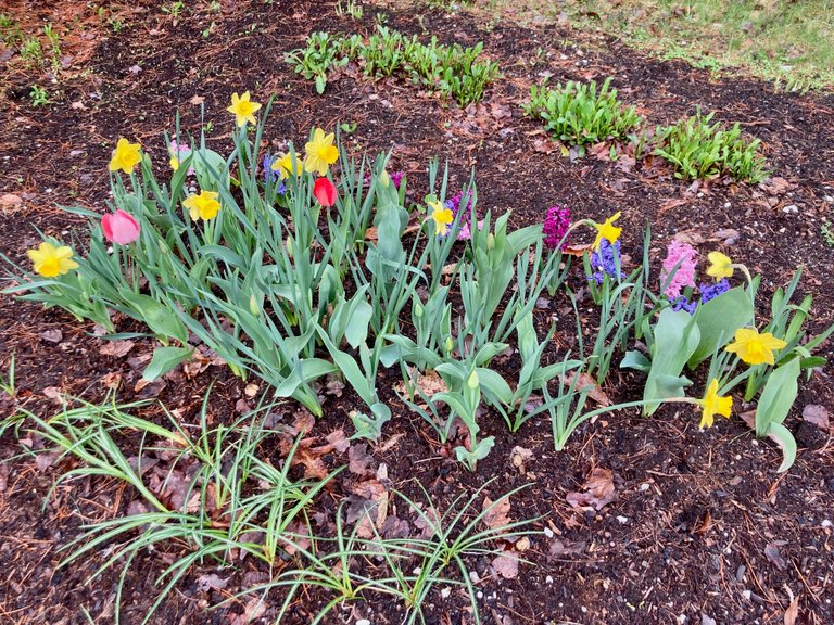 Flower bed