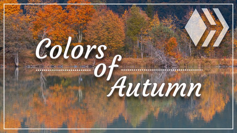 Autumn colors 2020