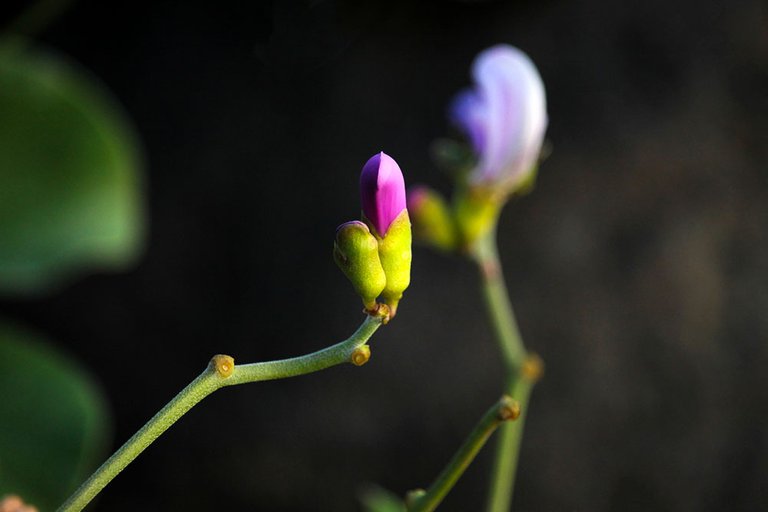 img_4997.jpg