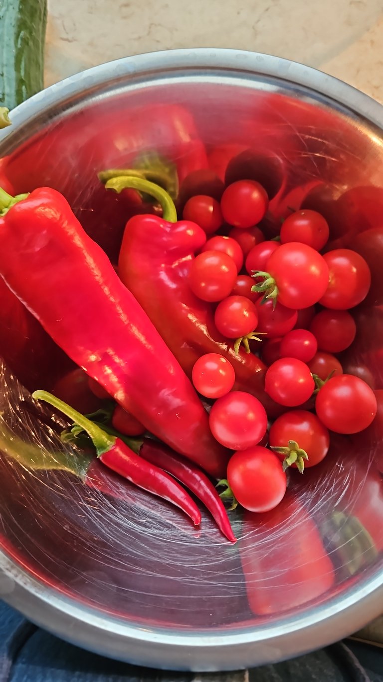 Peppers harvested - Paprika geerntet