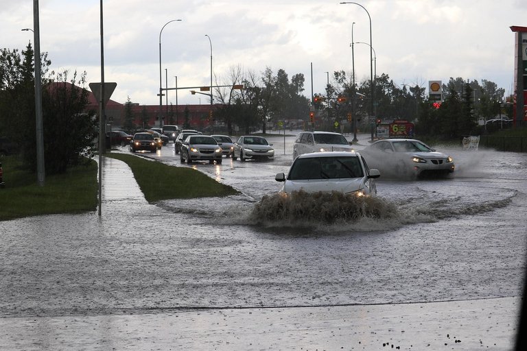 Drowned Hopes: The Flood That Stole My Chance