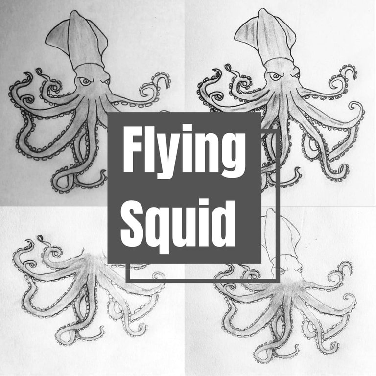 Flying squid | Fanart