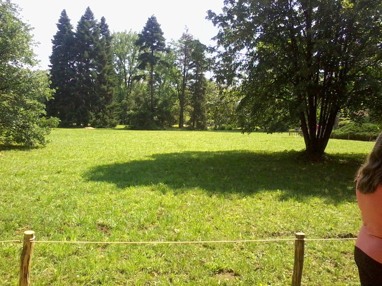 _0249.jpg