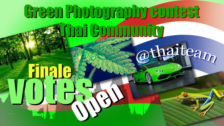 green_photography_finale_votes_2.png