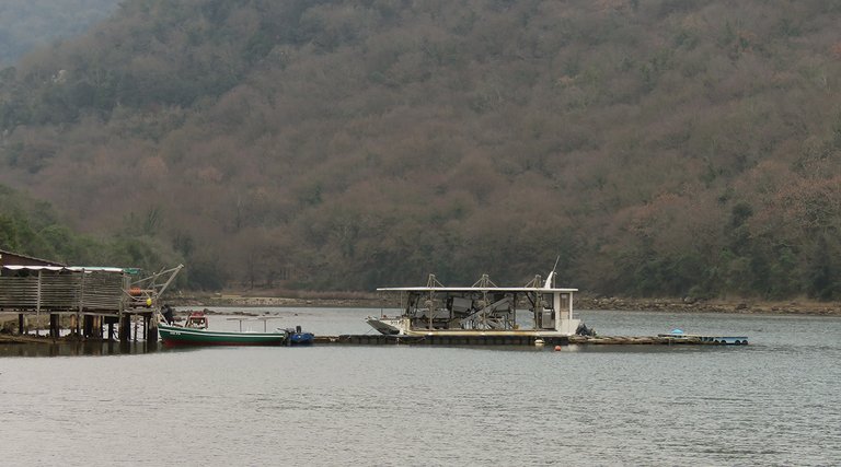 img_3504_malo.jpg