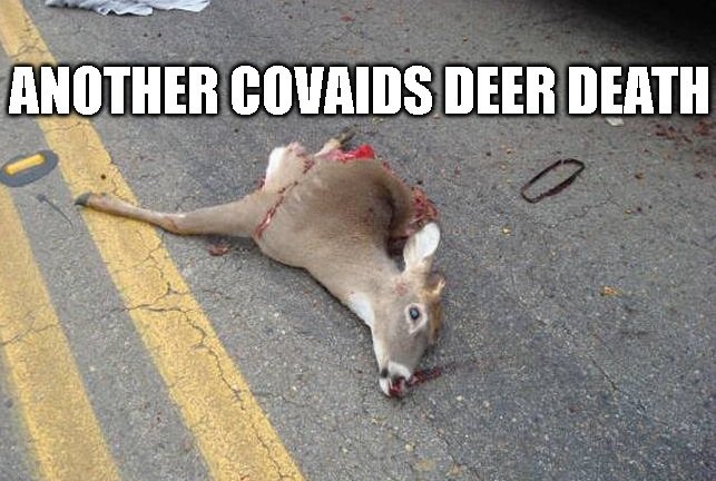 another_deerdeath.jpg