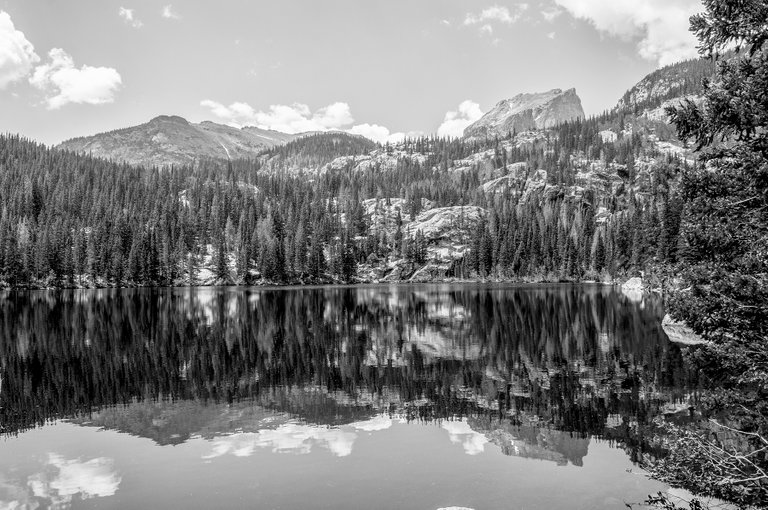 rmnp_bear_lake_reflections_bw.jpg