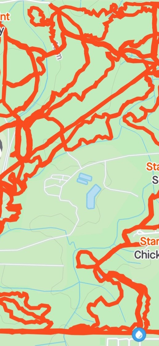 screenshot_20220205_152233_strava.jpg