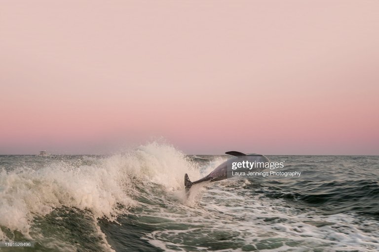 gettyimages_1191528496_2048x2048.jpg