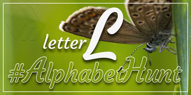 Hive AlphabetHunt - Letter L
