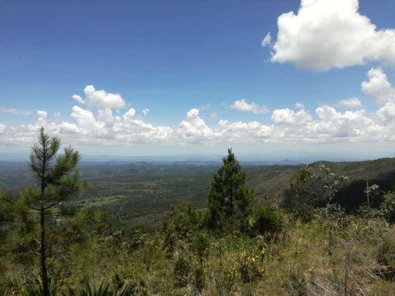 Vistas panorámicas desde Loma La Mensura. Parque Nacional Mensura-Piloto. Cuba (Esp-Eng)//Panoramic views from Loma La Mensura. Mensura-Piloto National Park. Cuba (Esp-Eng)