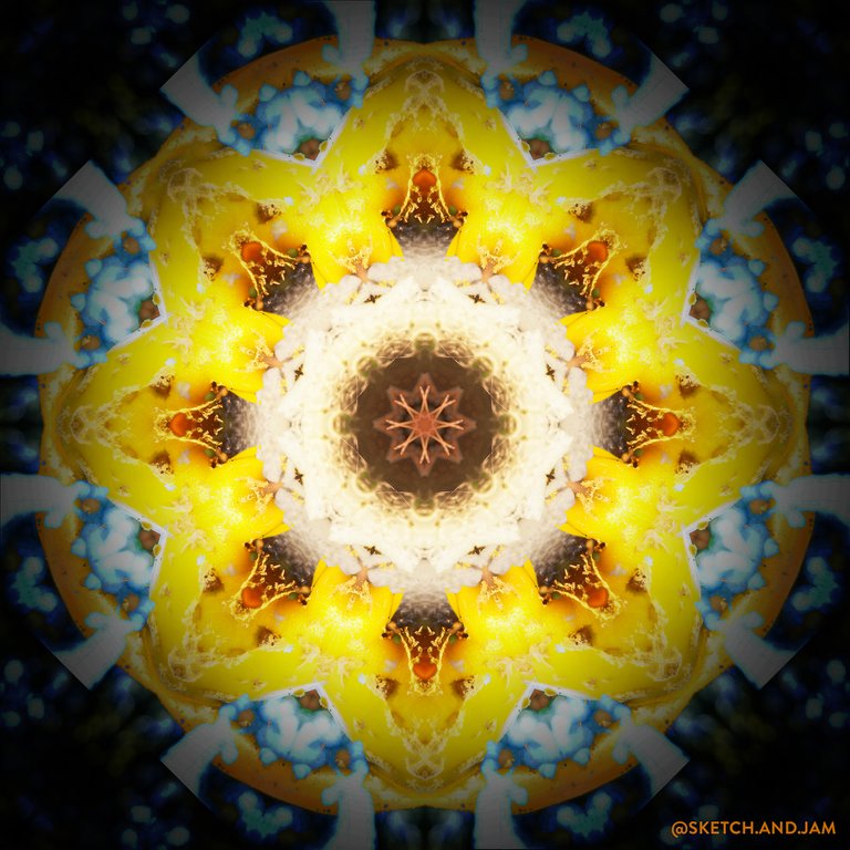 mushroommandala3_copy