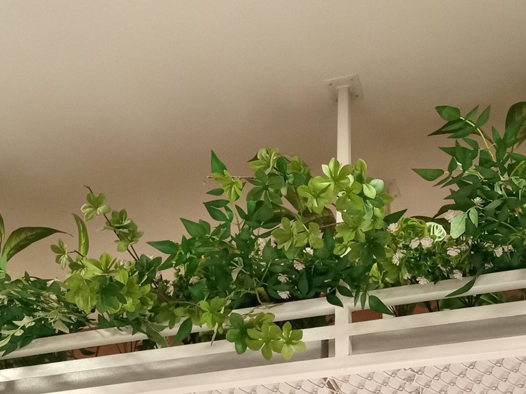 Green Leaf - My Daily Color 