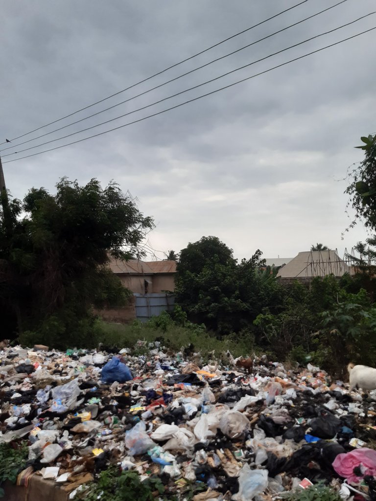 Wednesday walk: urban development and sustainability 