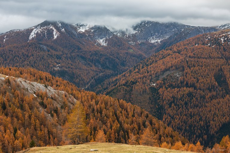 Orange Mountains / Autumn in Austria