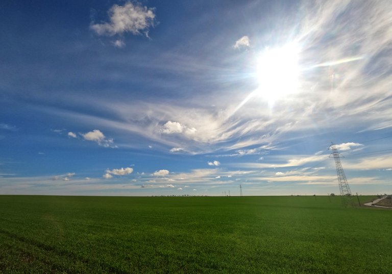 Near Tarlee, South Australia